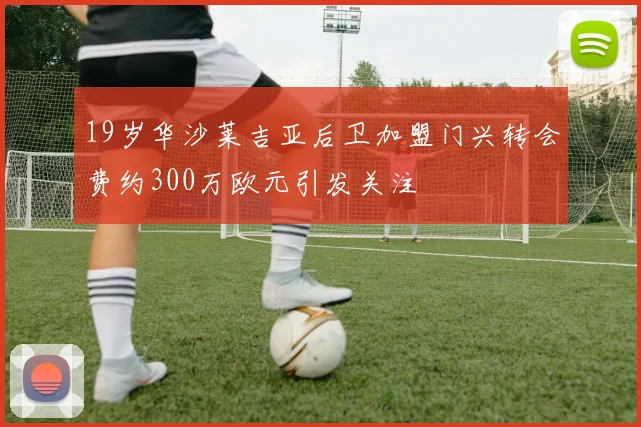19岁华沙莱吉亚后卫加盟门兴转会费约300万欧元引发关注